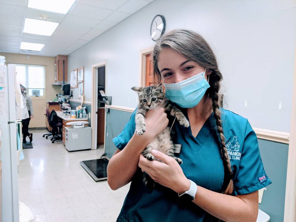 relief veterinarian