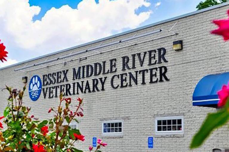 Essex Middle River Veterinary Center (EMRVC) Veterinary Practice