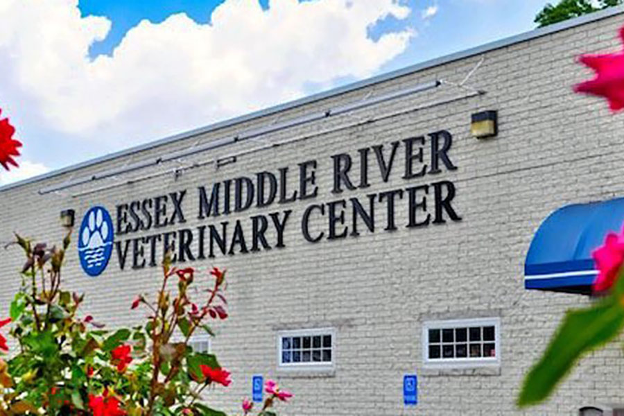 Essex Middle River Veterinary Center