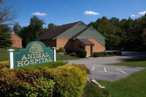 Spotsylvania Animal Hospital - Veterinary Practice Acquisitions ...