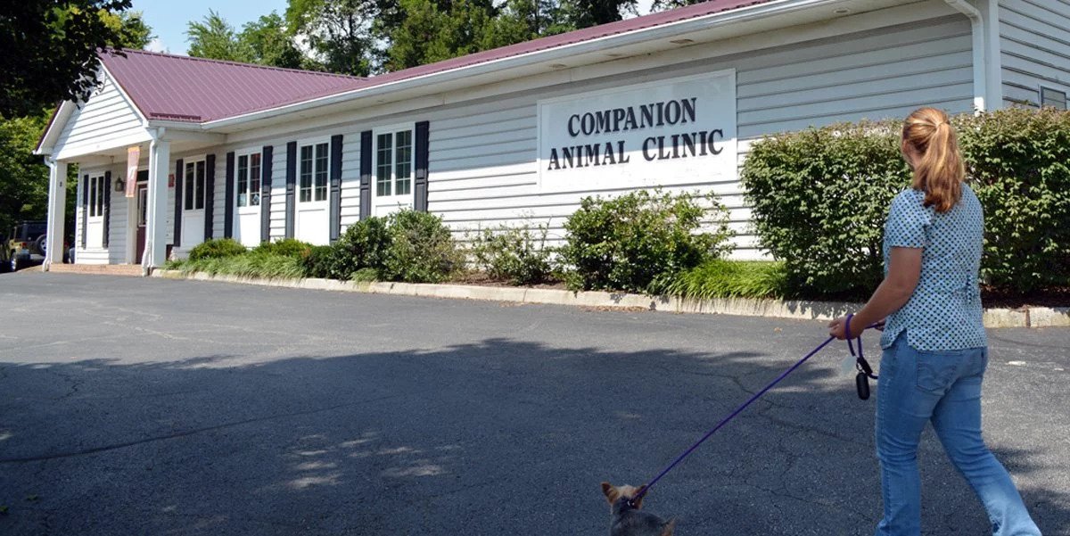Companion Animal Clinic - Veterinary Practice Acquisitions & Veterinary  Investments | VetEvolve
