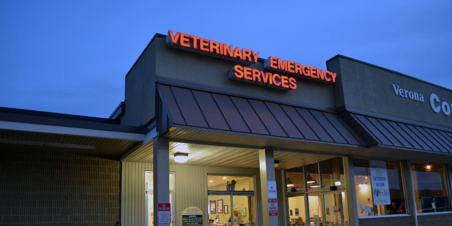 Veterinary Emergency Services (VES) Veterinary Practice Acquisitions