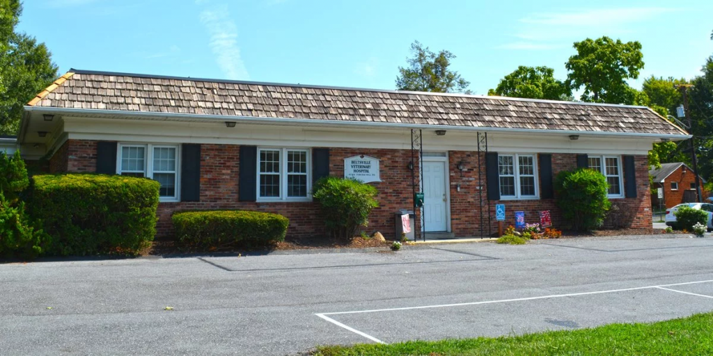 Beltsville Veterinary Hospital is a forward-thinking practice in Beltsville, Maryland with a hardworking team focused on companion and small animals.