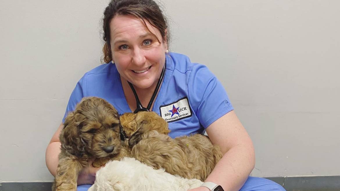 Veterinary Industry Employees’ Happiness