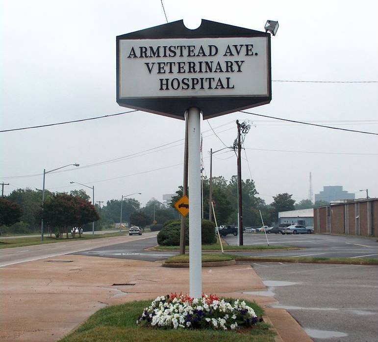 animal hospital sign ideas