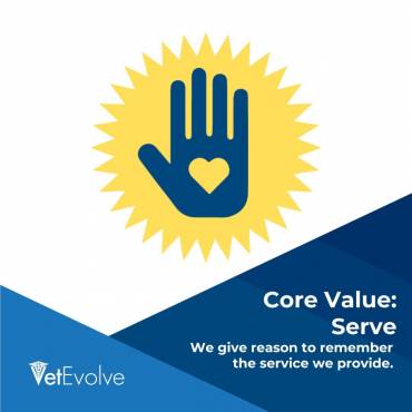 Serve: VetEvolve Highlights How Team Members Give Back to Their Communities