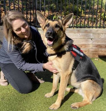 Hoffman Animal Hospital Launches Program to Support Veteran Service Dogs