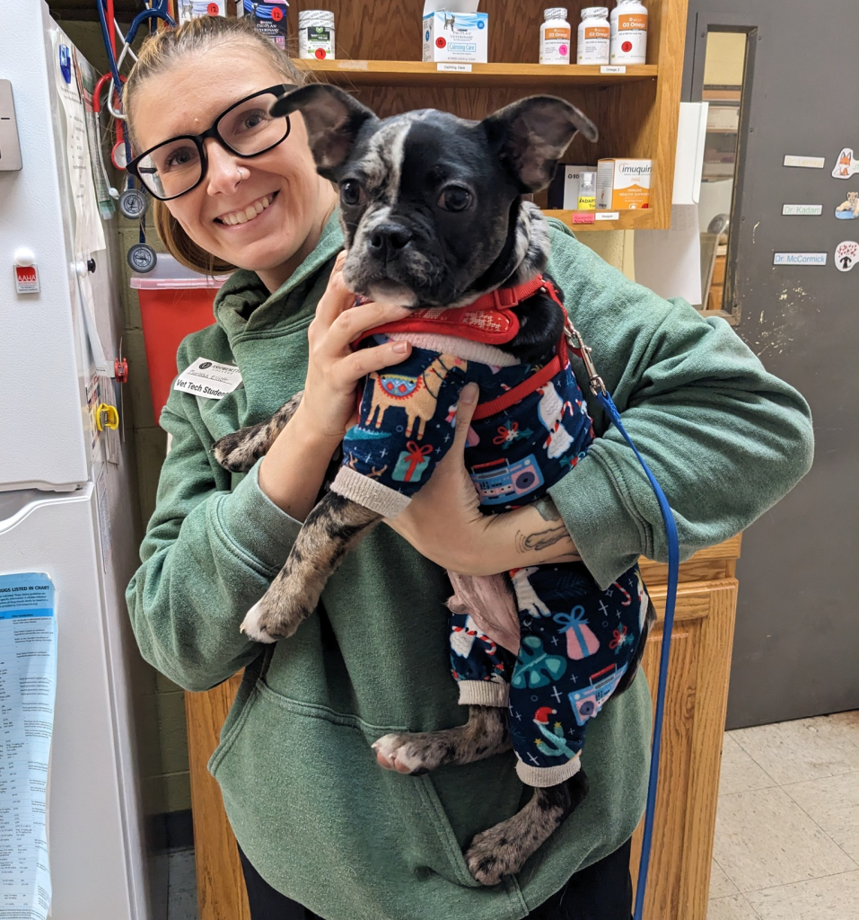 Developing Team Members’ Careers Through the Veterinary Technician Tuition Reimbursement Program