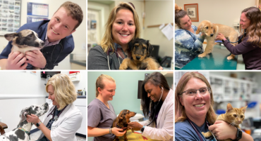 VetEvolve’s Unique Approach to Veterinary Practice Partnership: Putting People First
