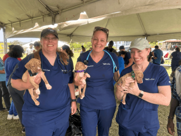 Serving in St. Kitts:  Using our Veterinary Skill Sets and Mentorship Mindsets to Give Back