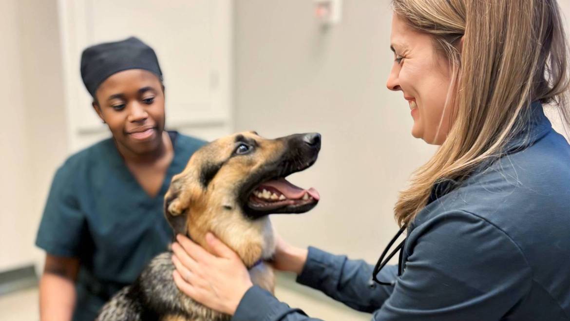 Veterinarian Profile: Dr. Carrie Muller