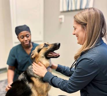 Veterinarian Profile: Dr. Carrie Muller