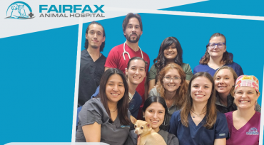 Providing the Right Kind of Support to Drive Success: Fairfax Animal Hospital