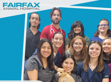 Providing the Right Kind of Support to Drive Success: Fairfax Animal Hospital