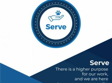 Serve 2024: Highlighting How VetEvolve Team Members Give Back