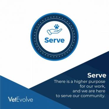 Serve 2024: Highlighting How VetEvolve Team Members Give Back