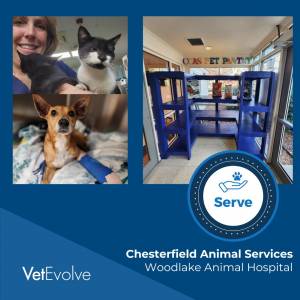 Woodlake Animal Hospital