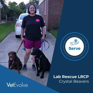 Crystal Beavers Lab Rescue