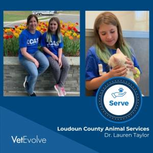 Dr. Lauren Taylor Loudoun County