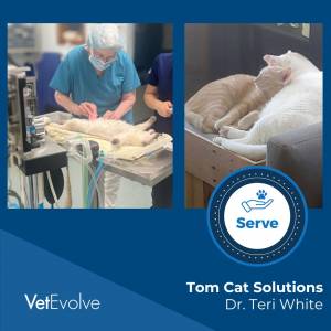 Dr. Teri White TomCat Solutions