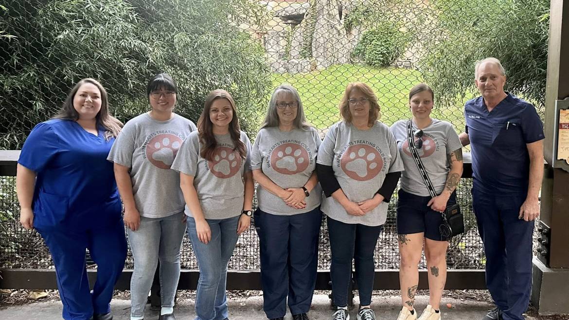 Building Connections and Celebrating Community in Knoxville