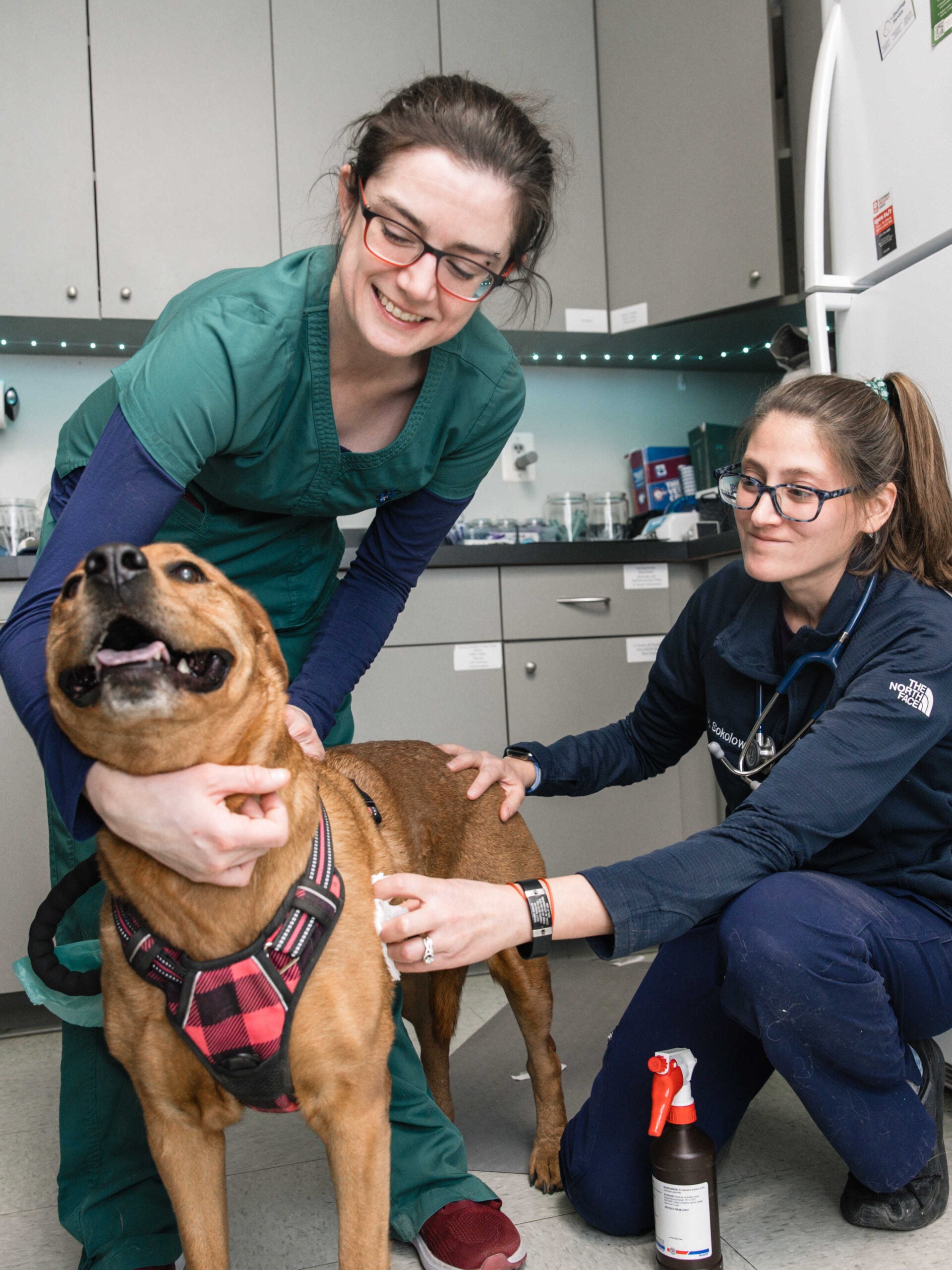 Photograph of two young vets with a cute, smiling dog.