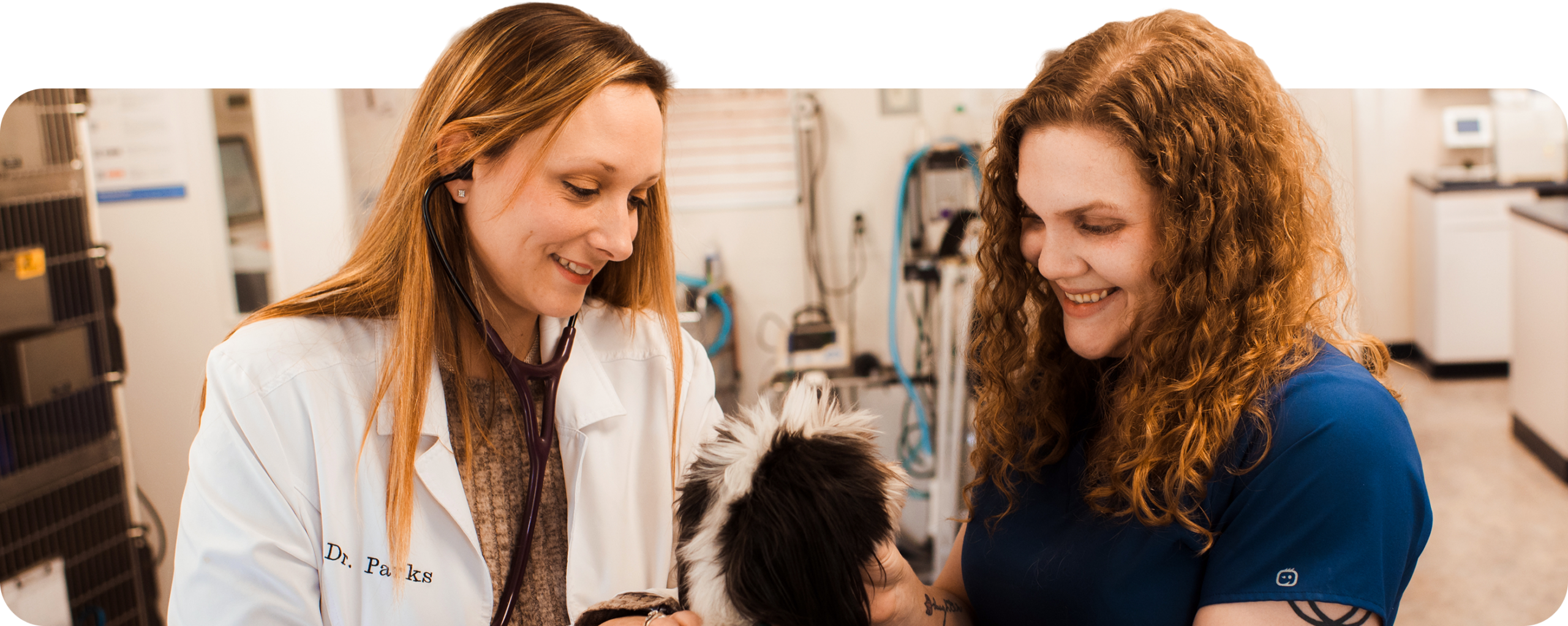 Photograph of two female vets smiling at a dog.