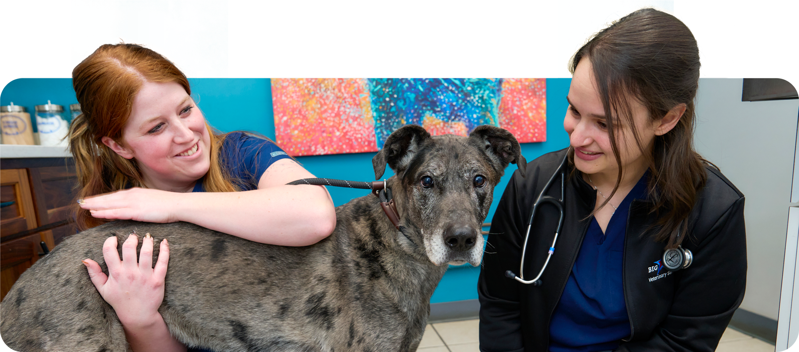Photograph of two young vets with a cute dog.