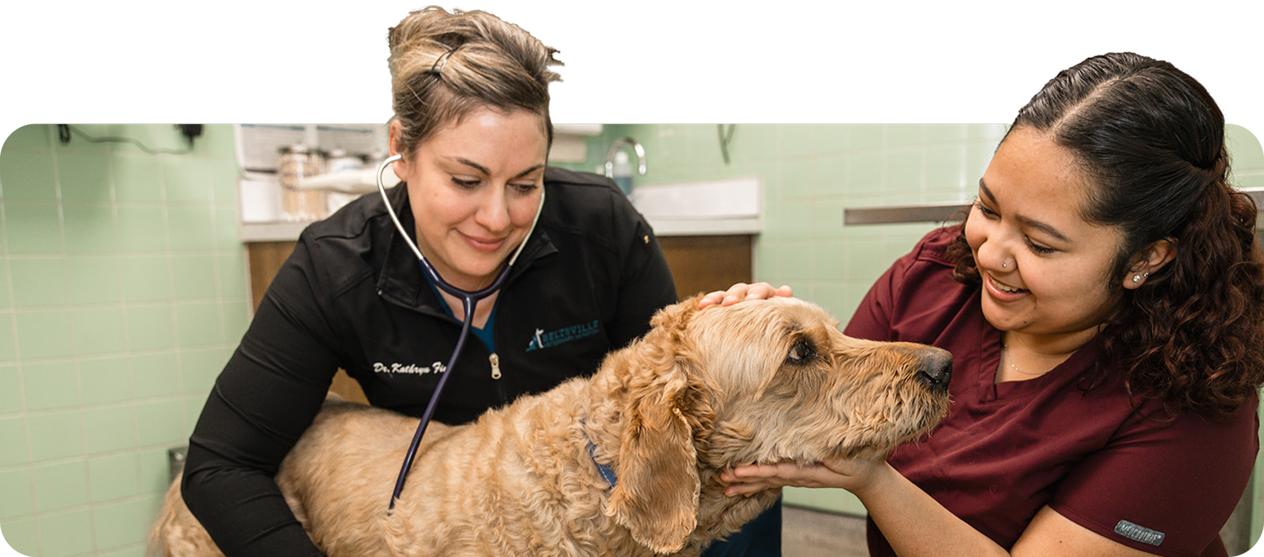 Photograph of one vet listening to a dog's heartbeat while another vet pets the dog's face.